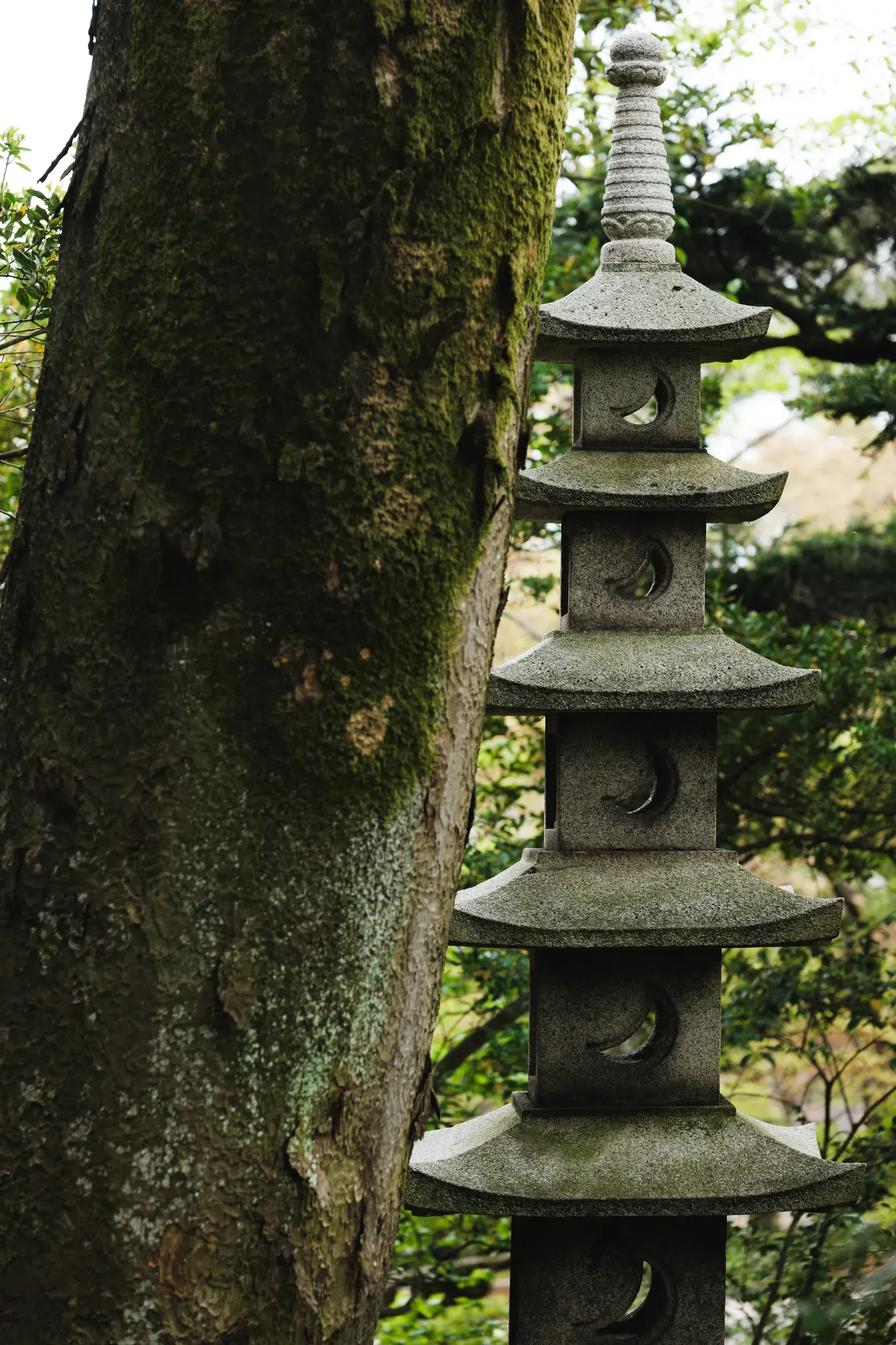 2025 japan image 17