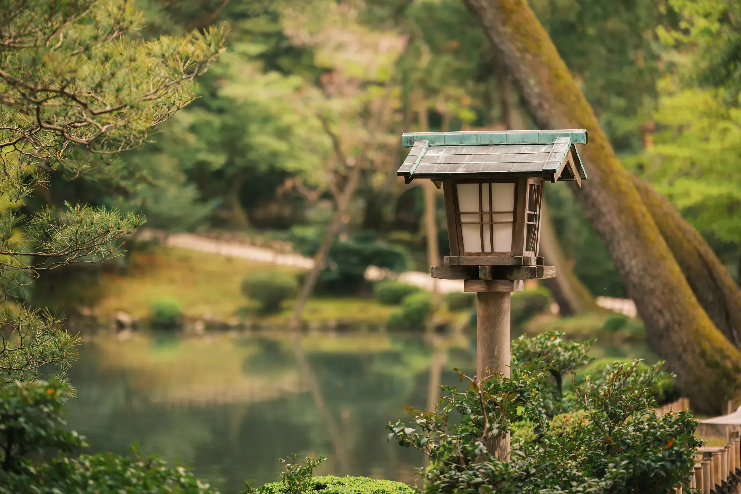 2025 japan image 19