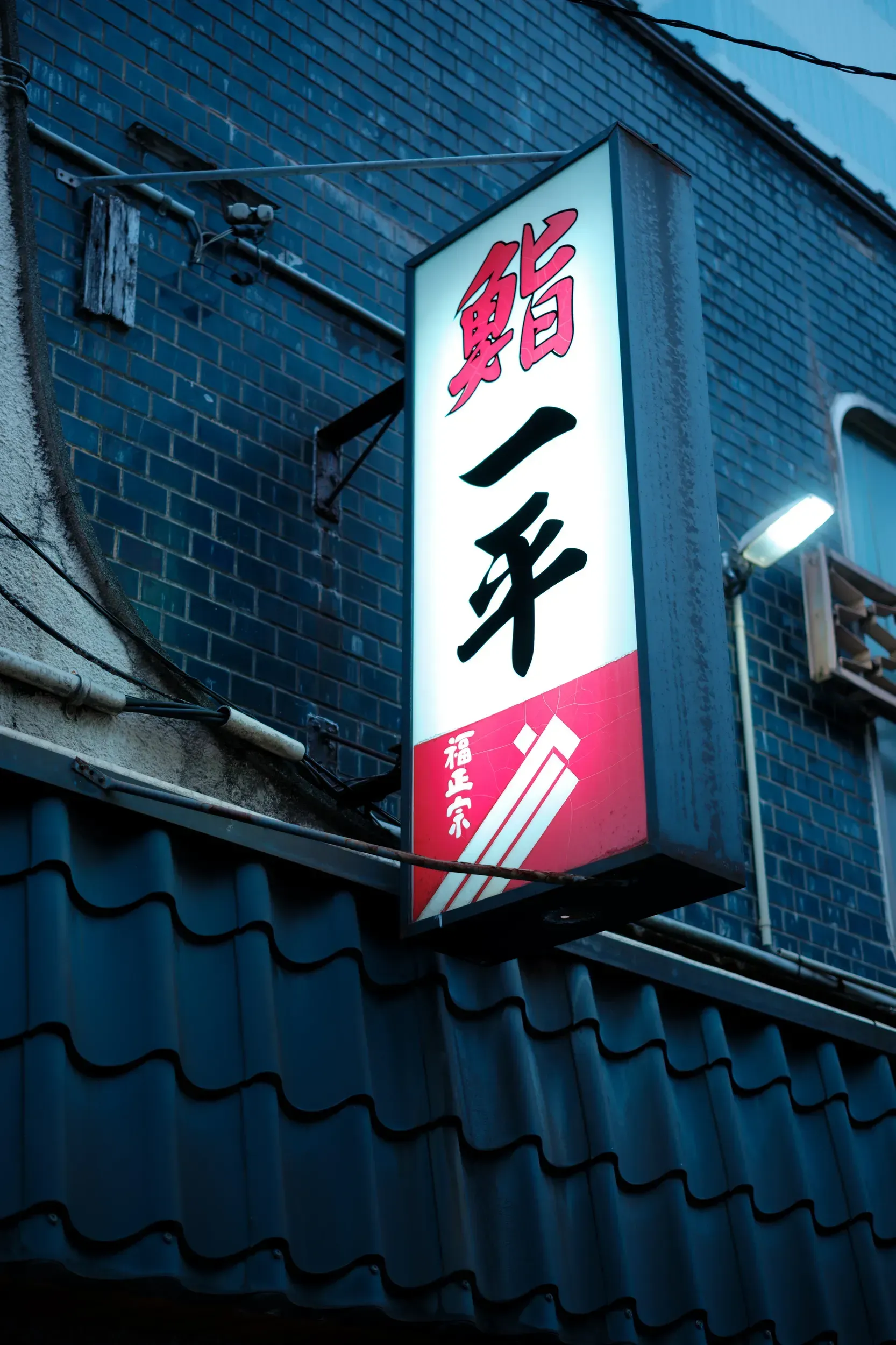 2025 japan image 23