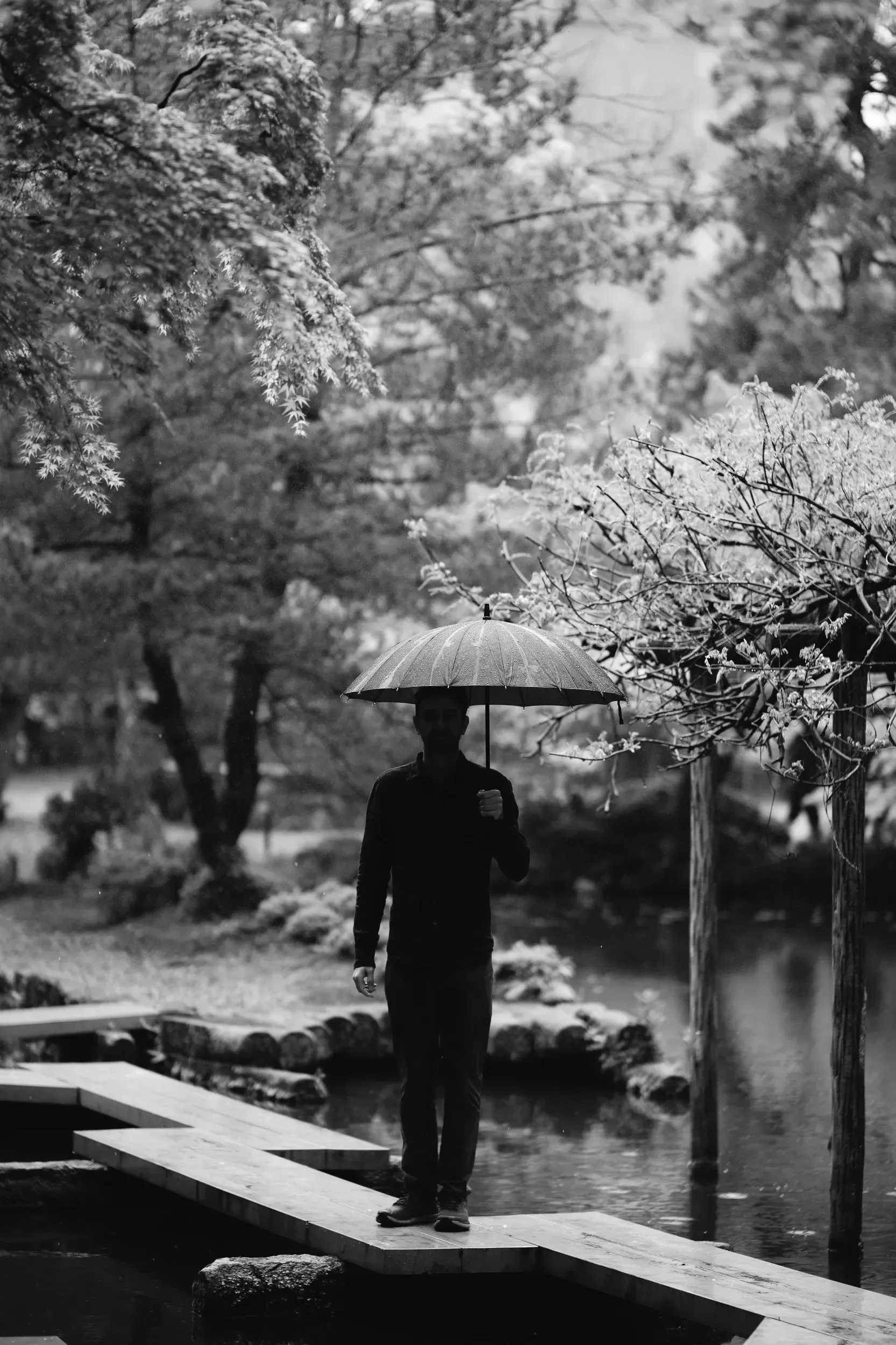 2025 japan image 40