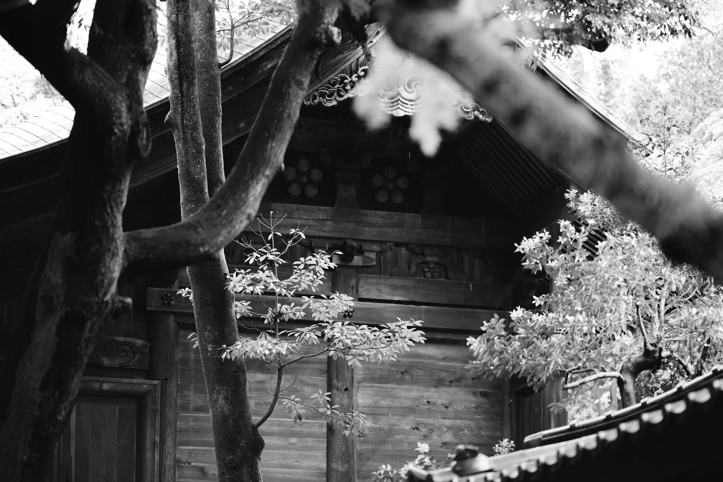 2025 japan image 42