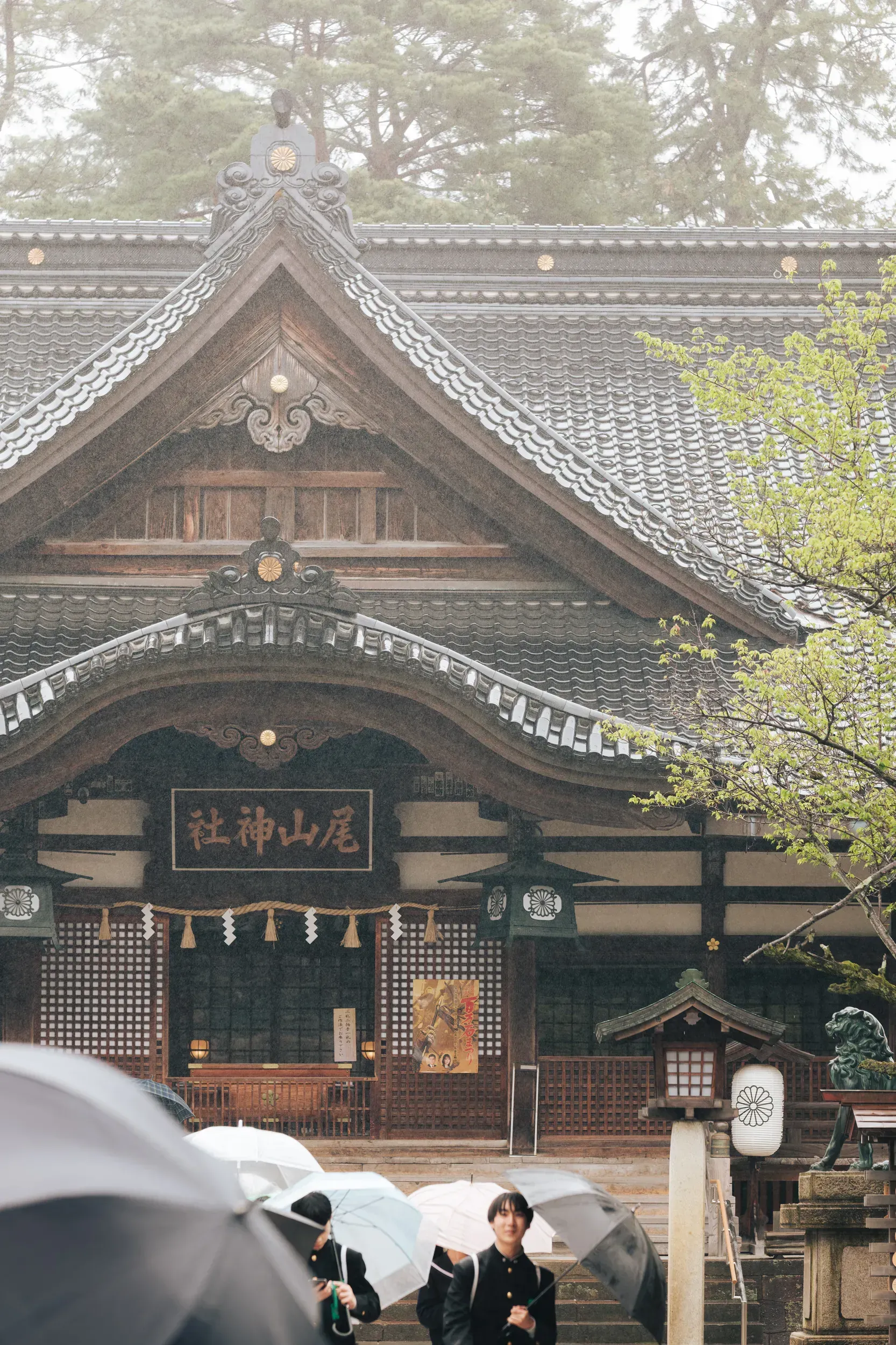 2025 japan image 43