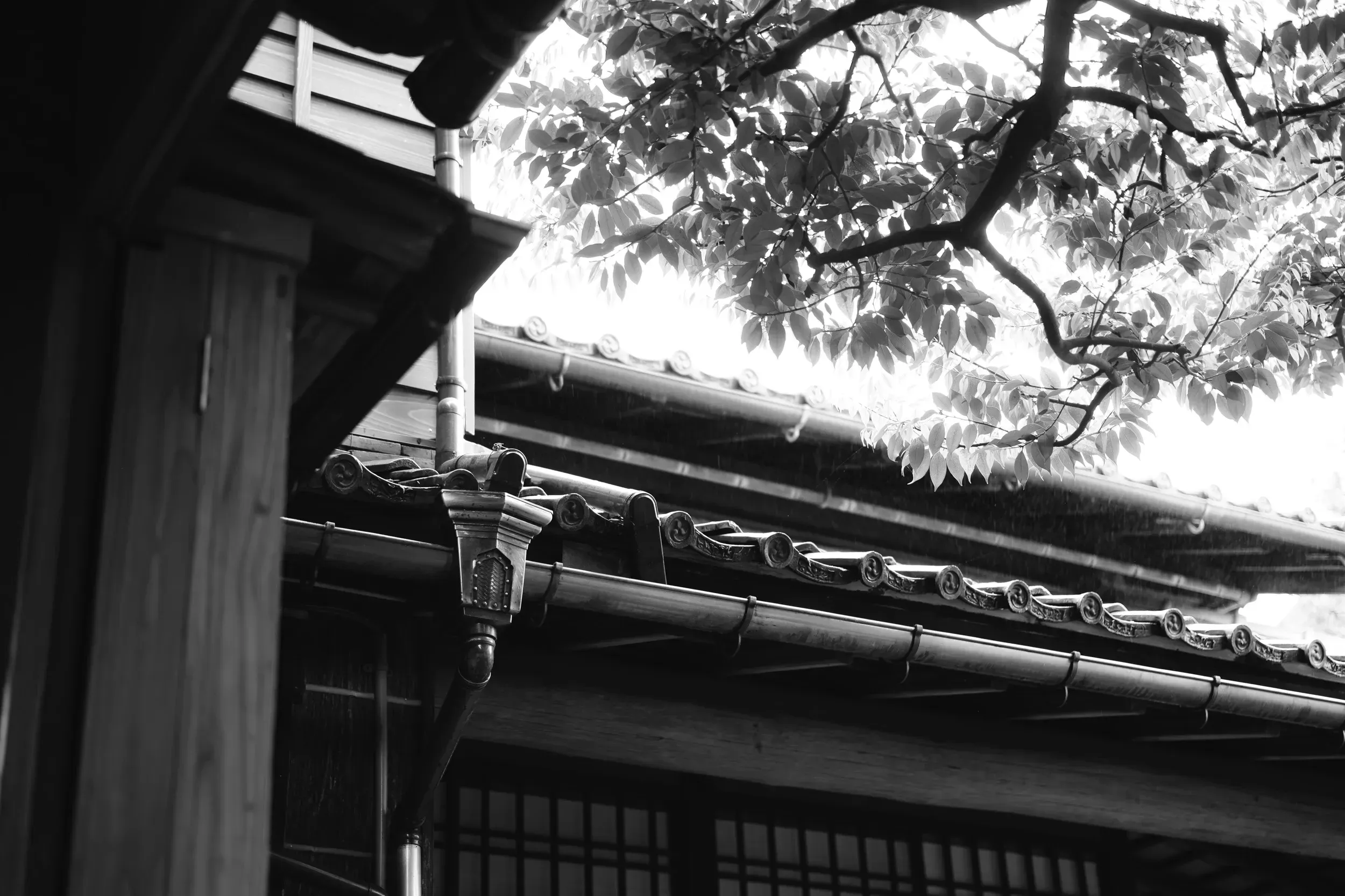 2025 japan image 45