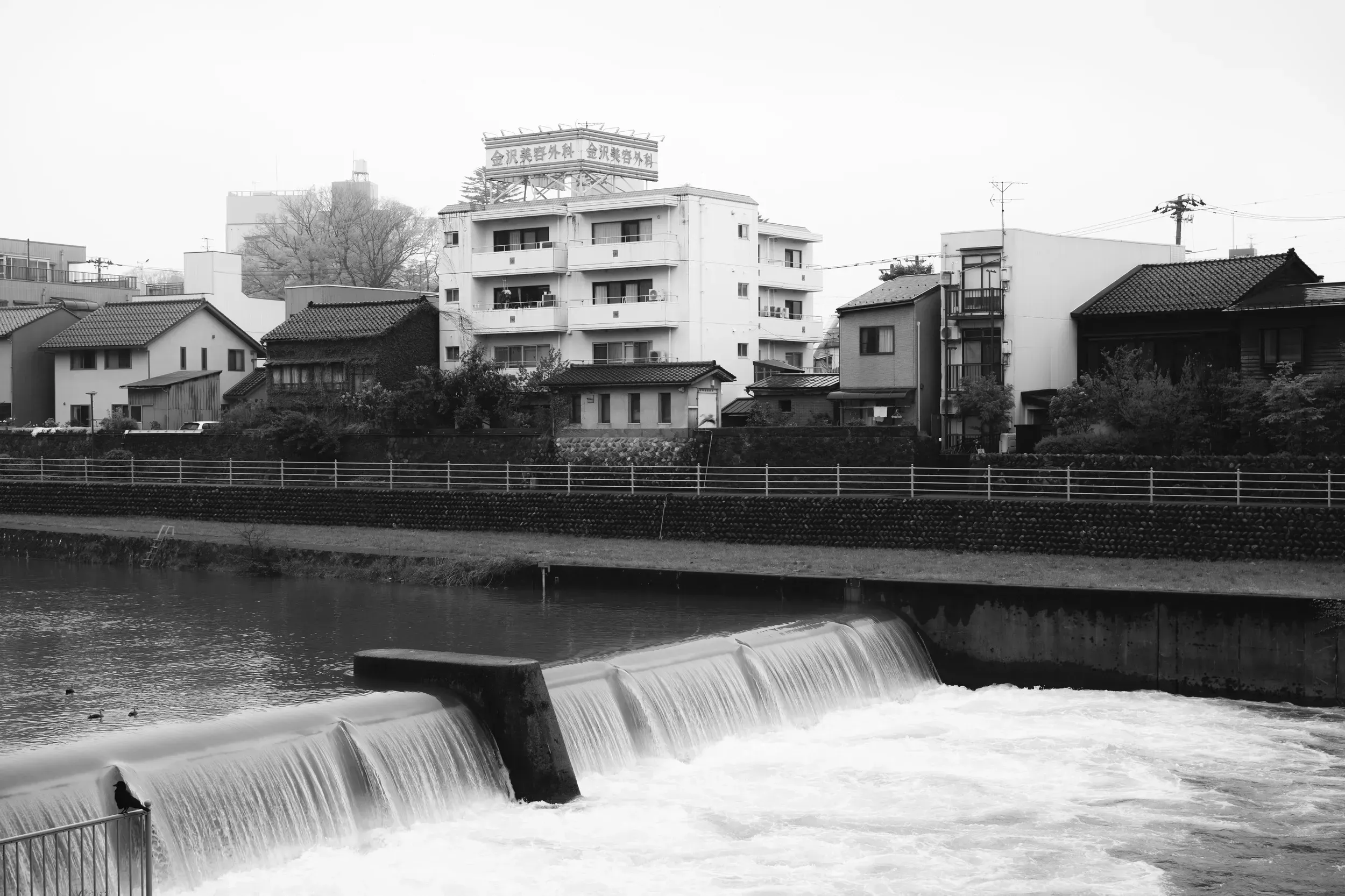 2025 japan image 48