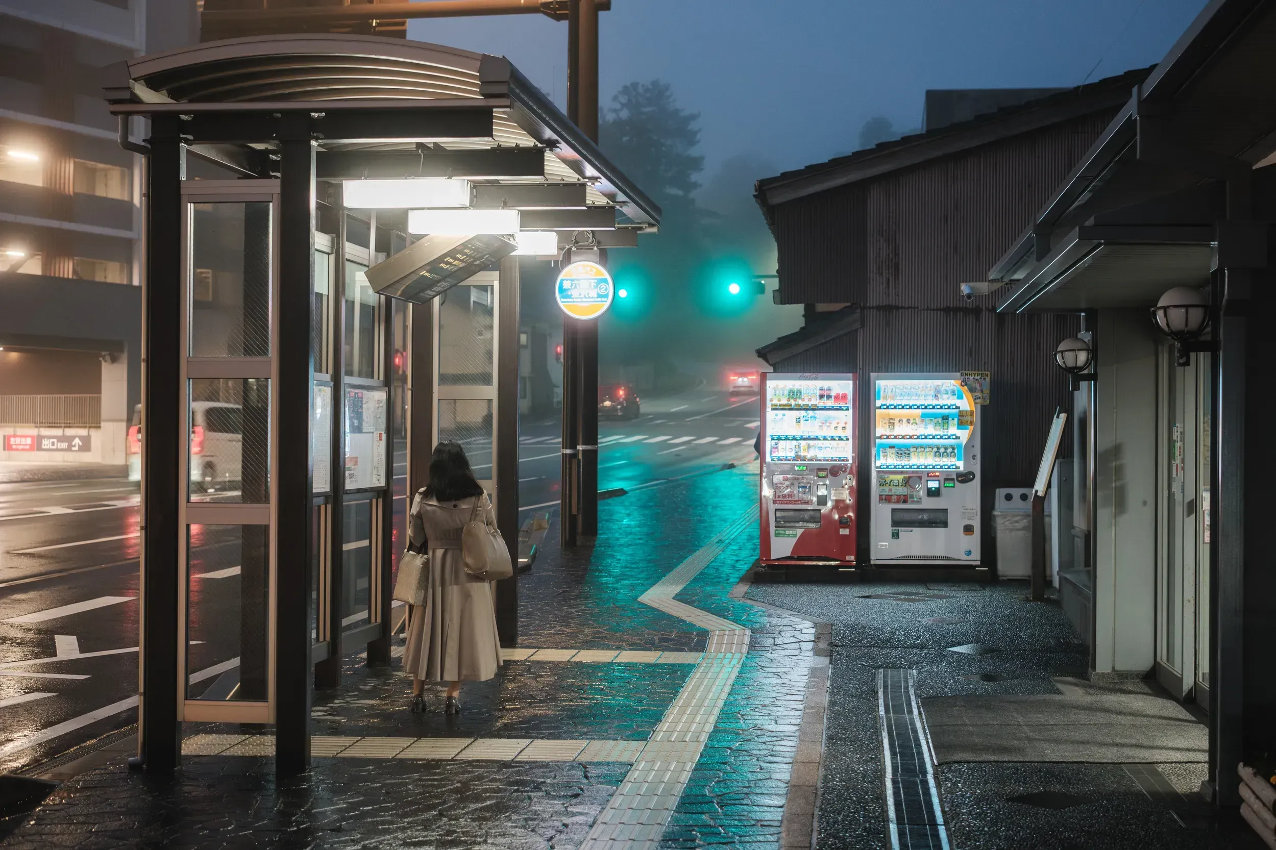 2025 japan image 55