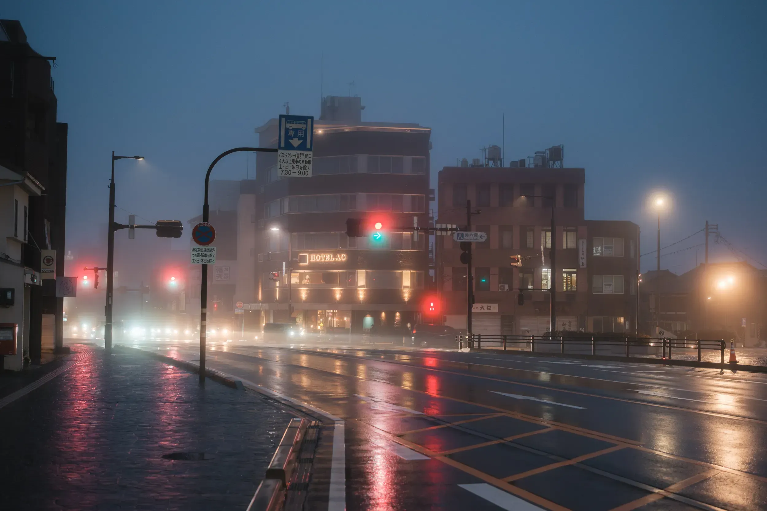 2025 japan image 57
