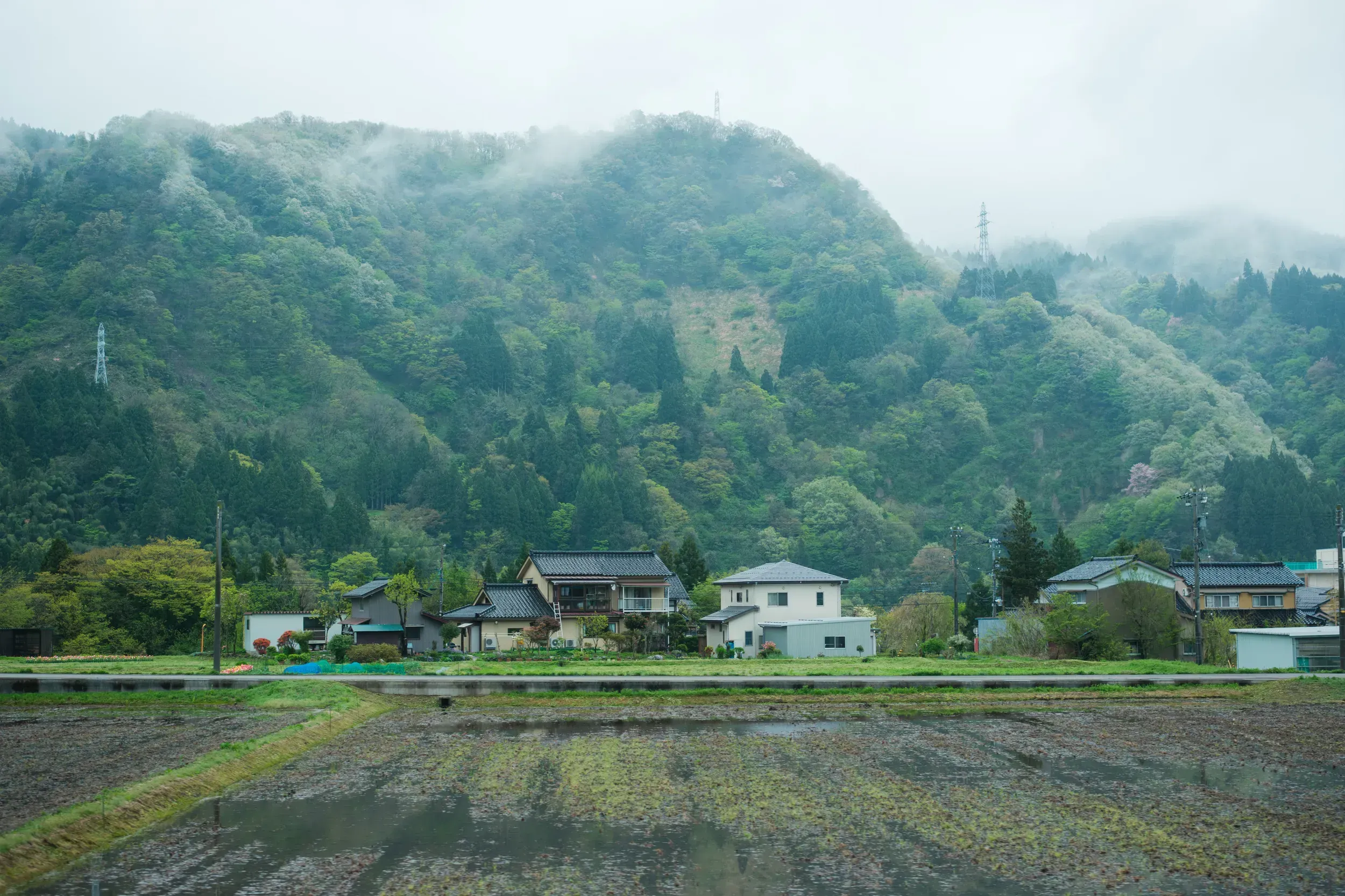 2025 japan image 61