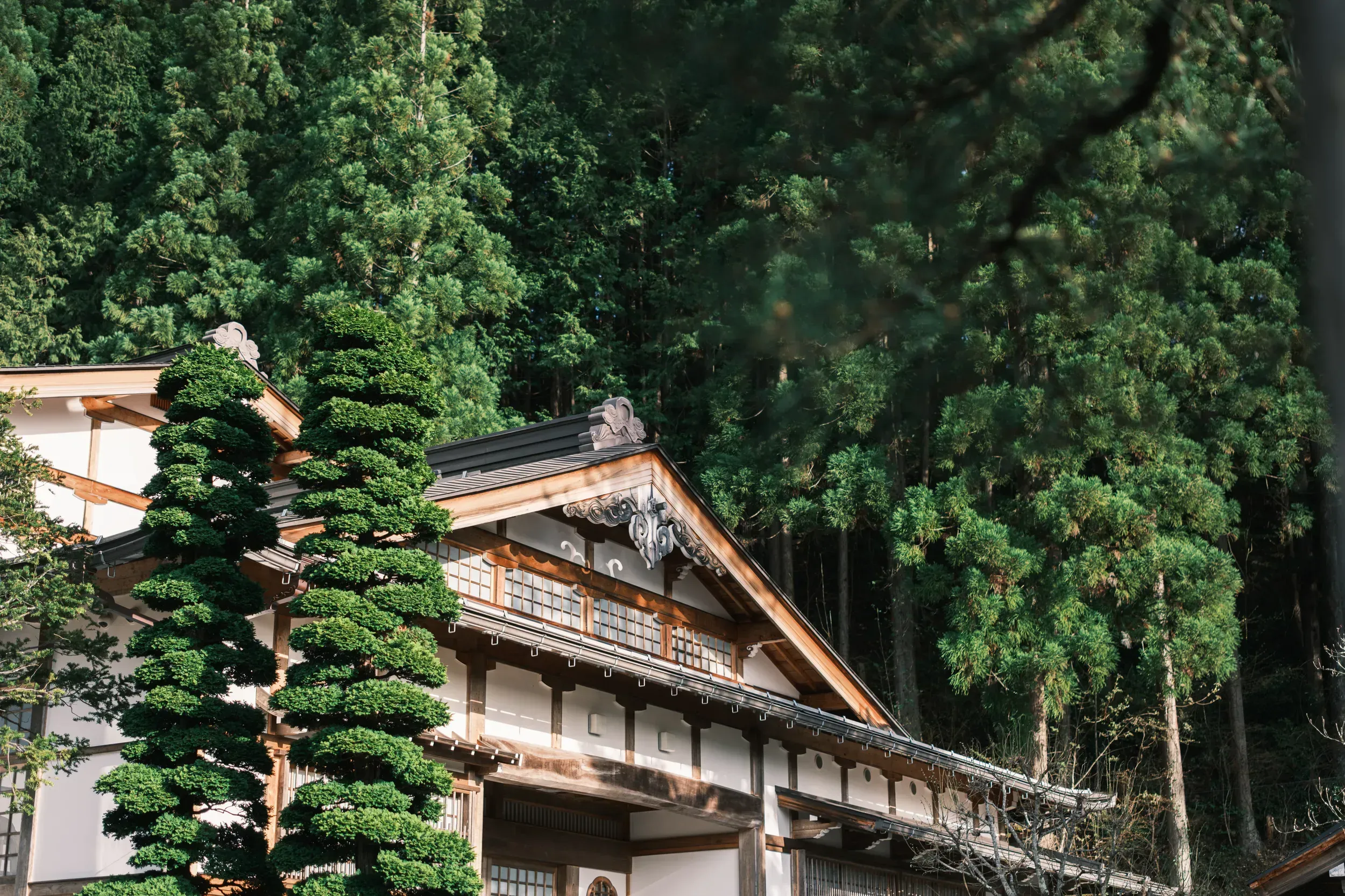 2025 japan image 78