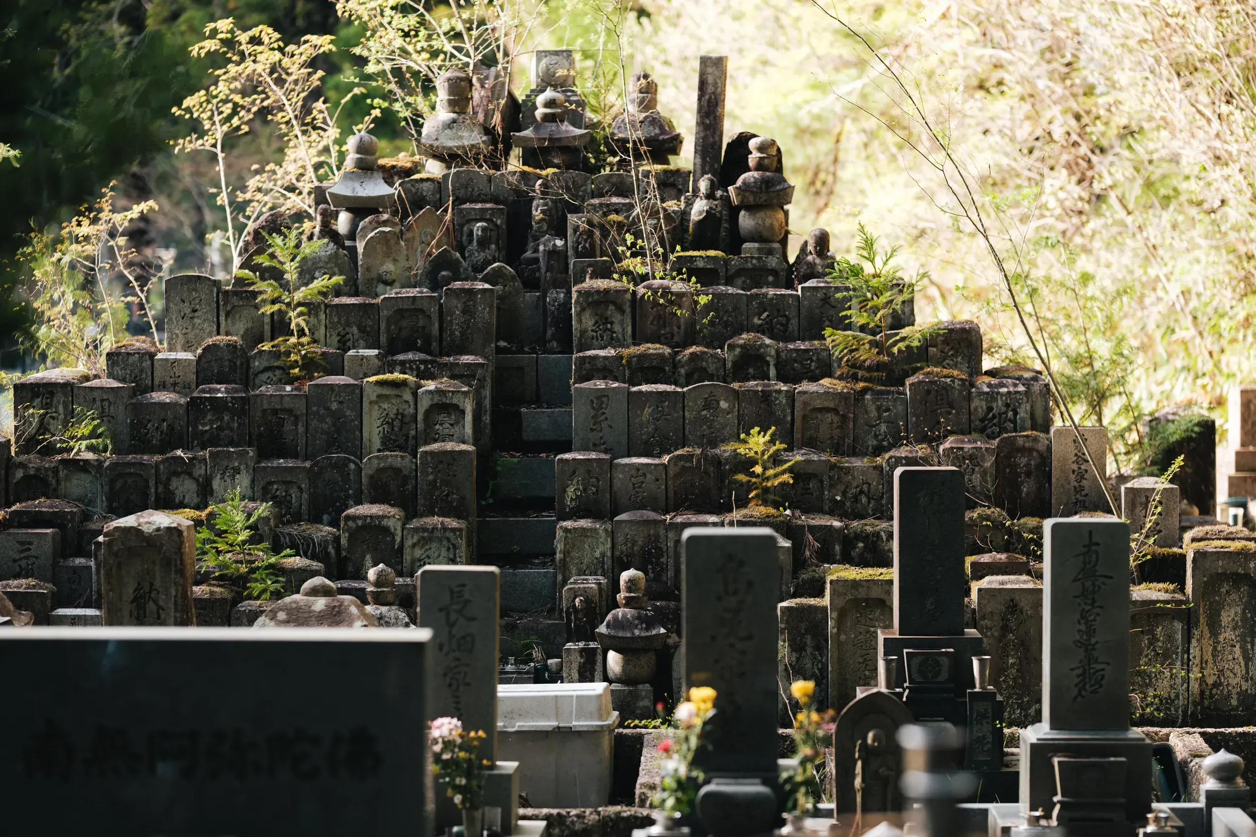 2025 japan image 80