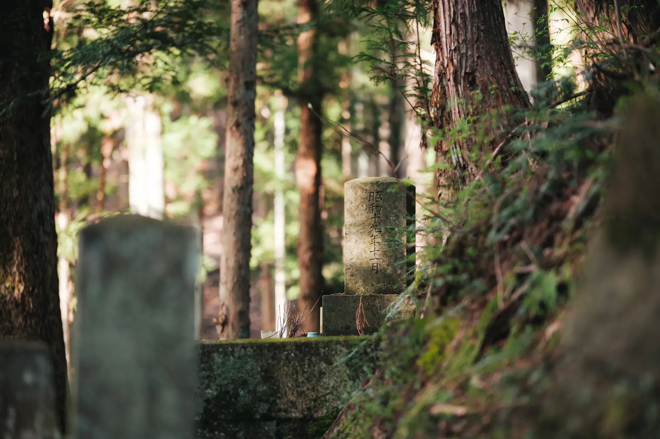 2025 japan image 81