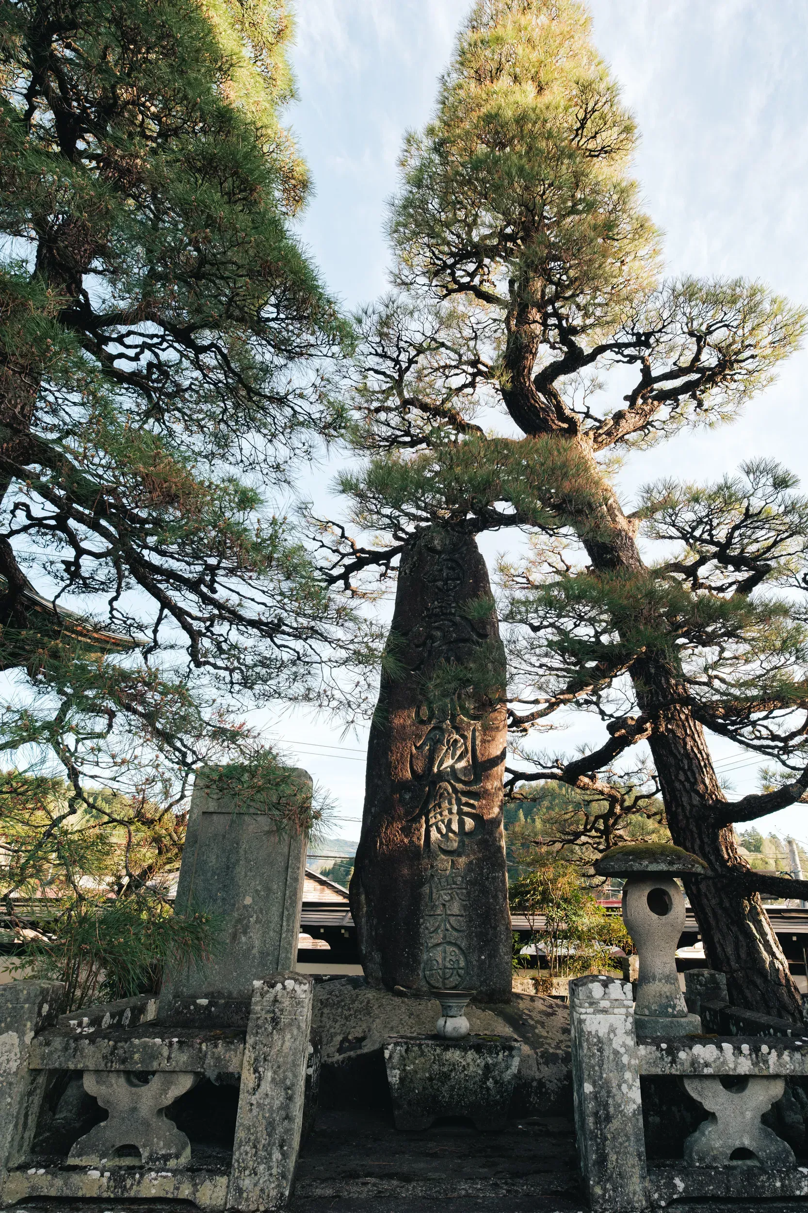 2025 japan image 84