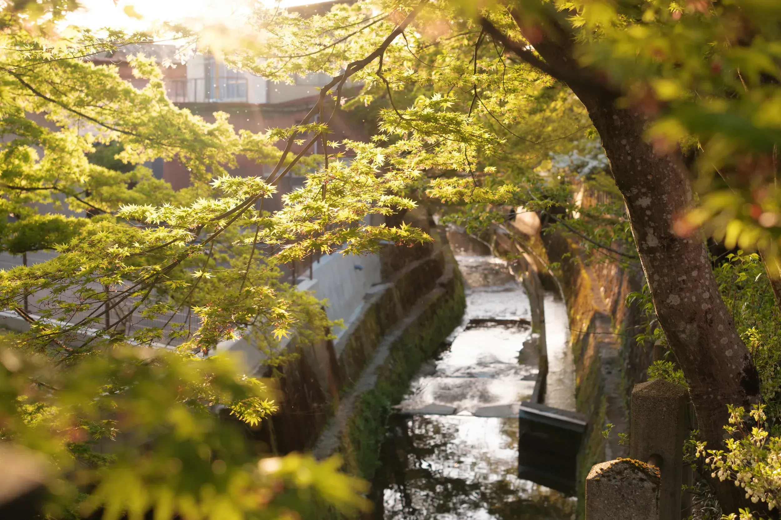 2025 japan image 91
