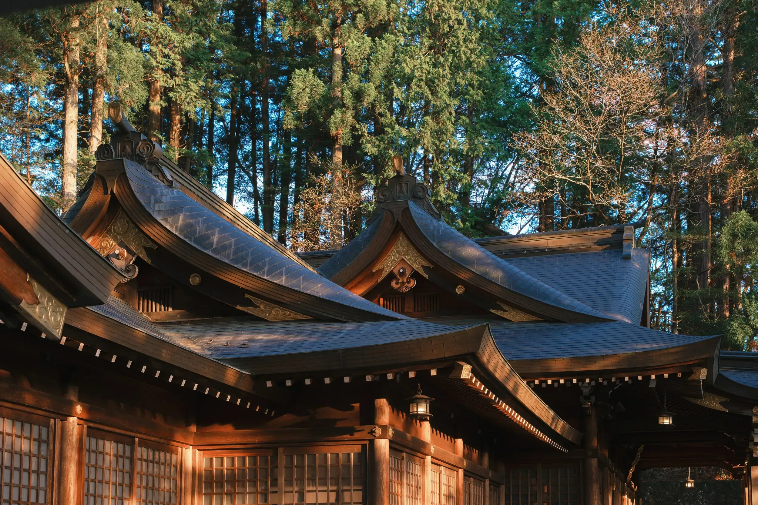 2025 japan image 95