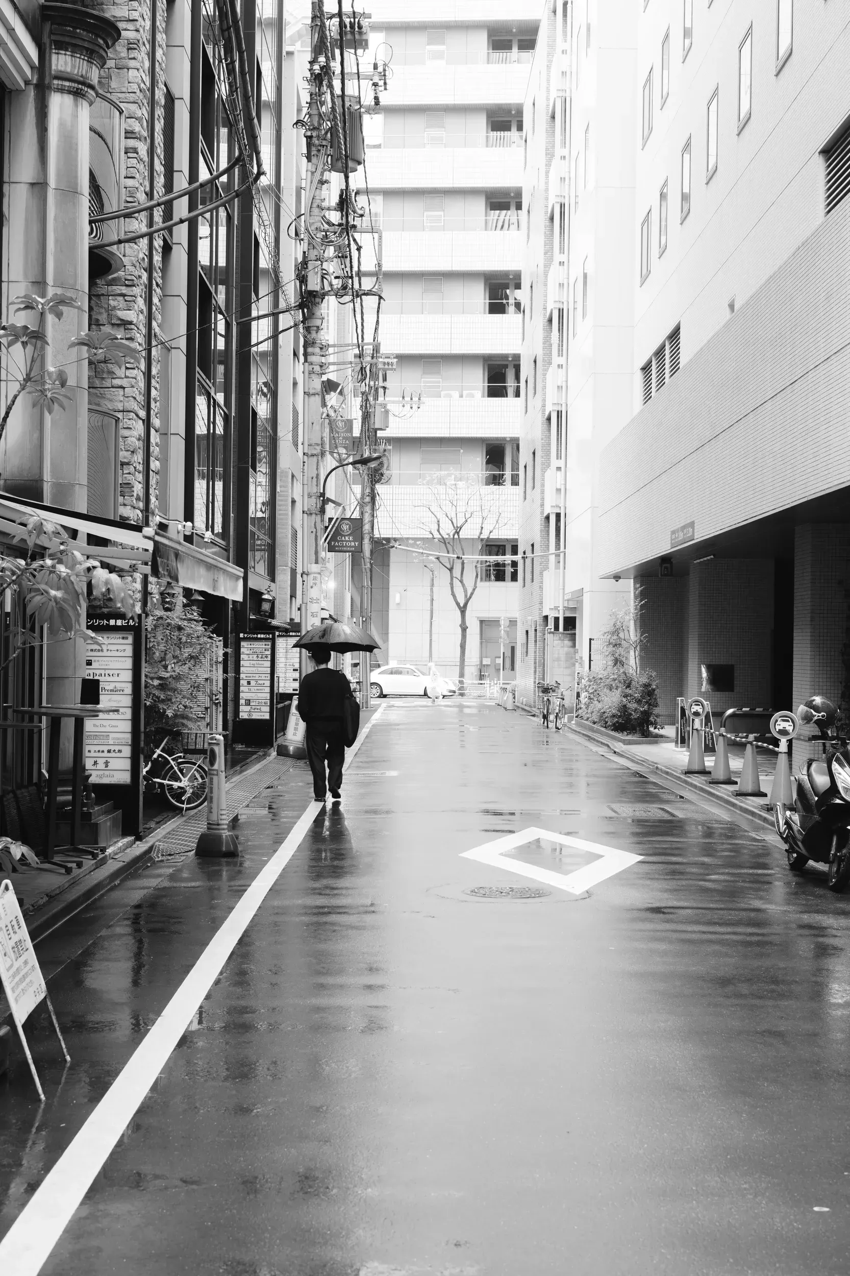 2025 japan image 114