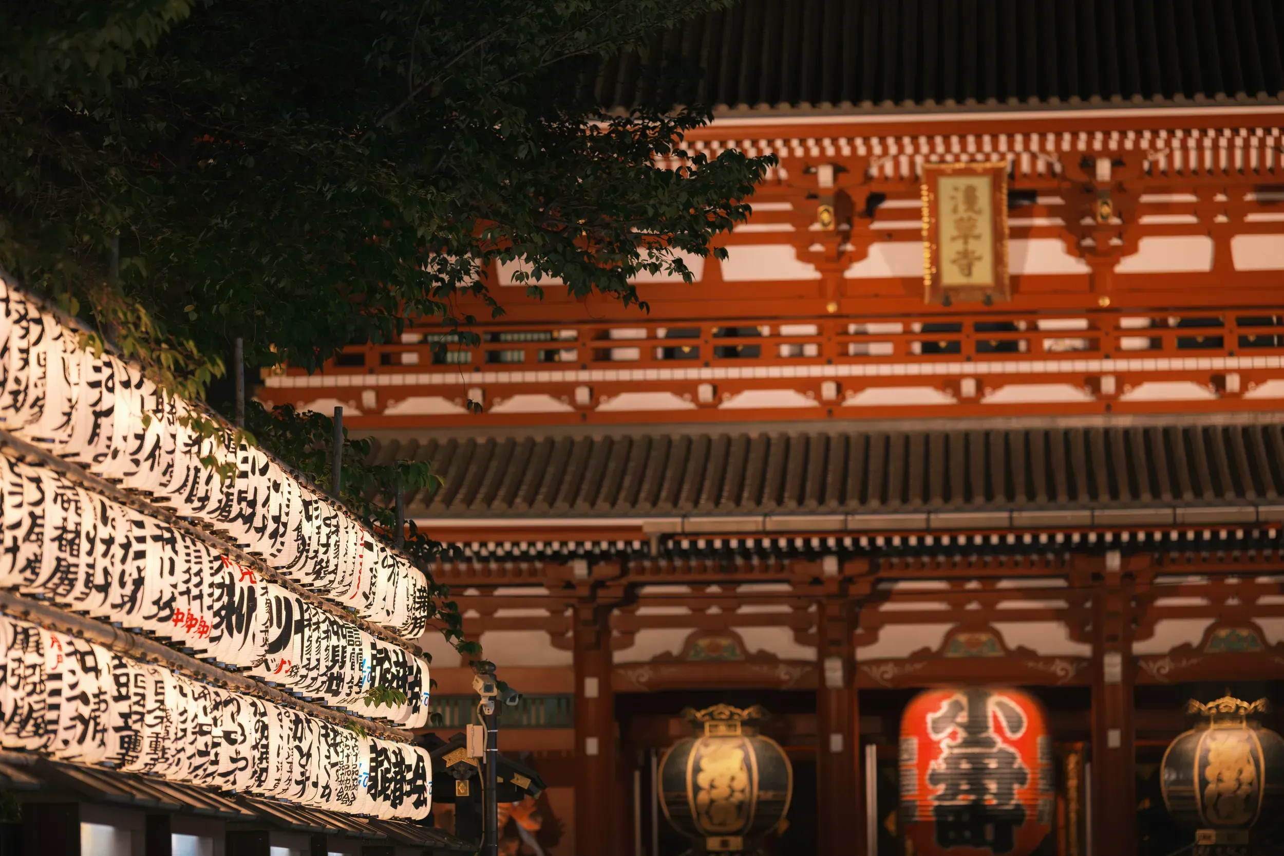2025 japan image 123
