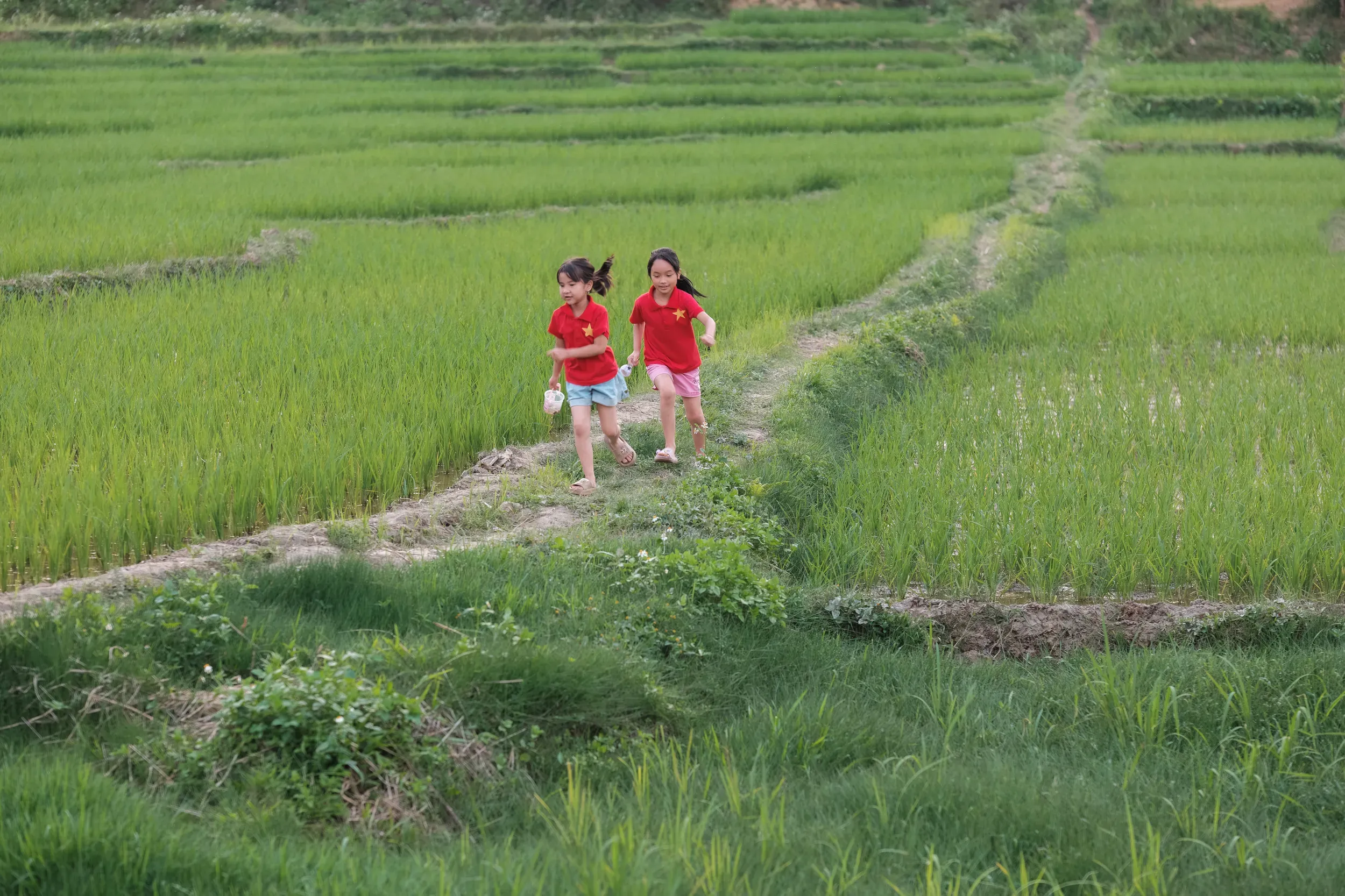 2025 vietnam image 66