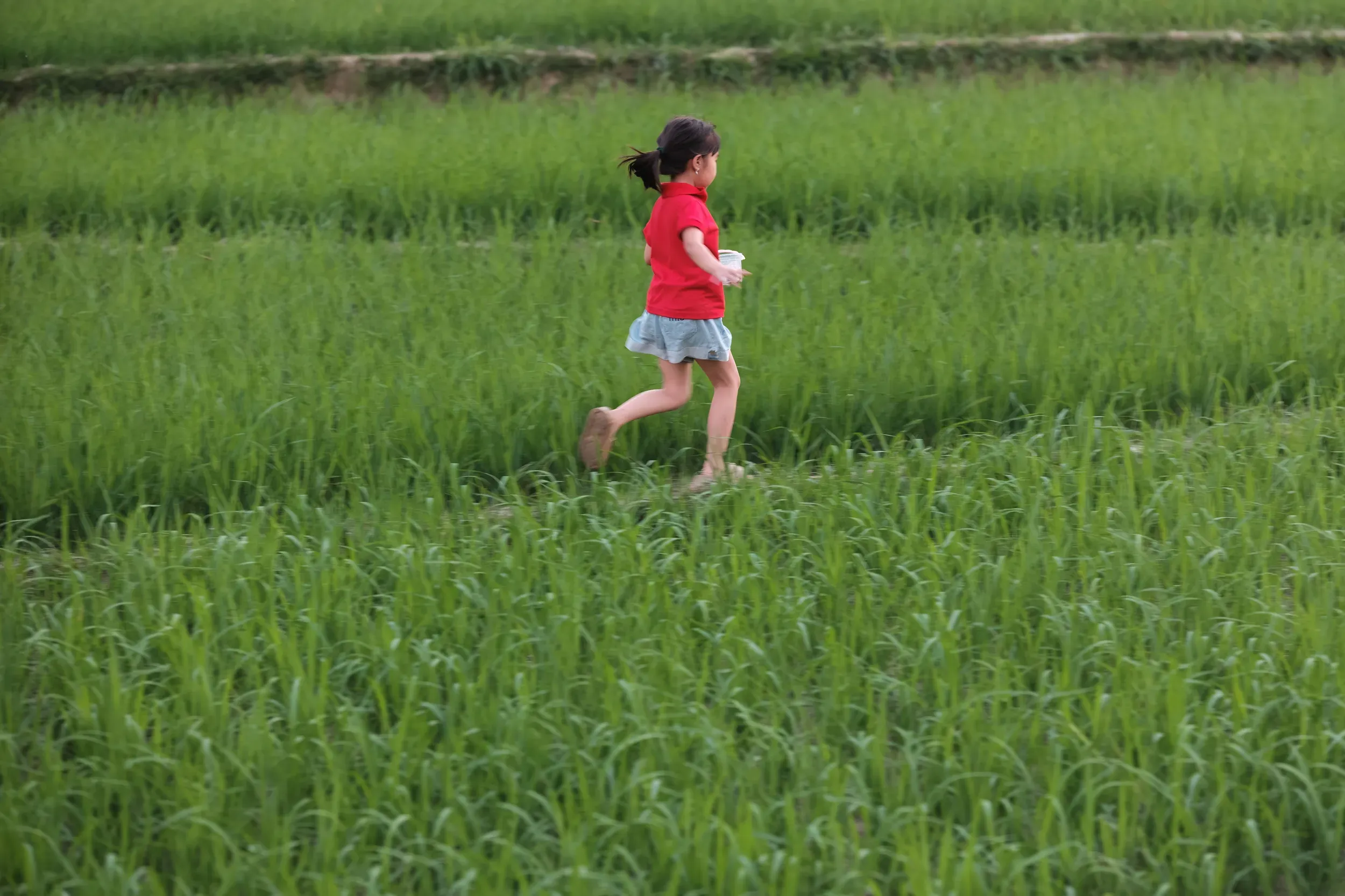 2025 vietnam image 67